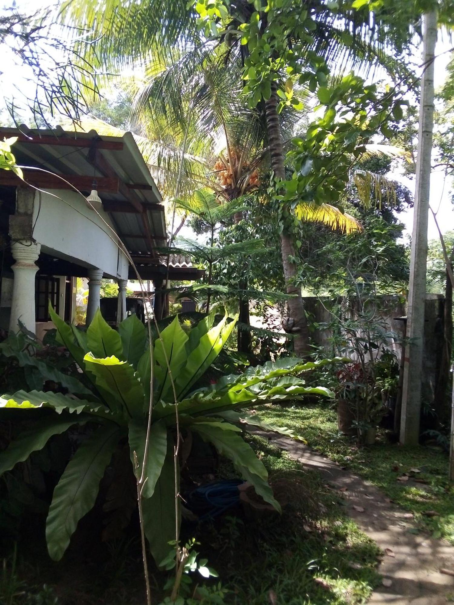 Bandula Home Stay シギリヤ エクステリア 写真
